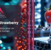 Strawberry, le nouveau modèle d'OpenAI