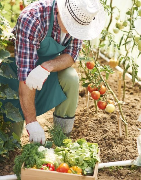 marketing digital pour secteur agriculture